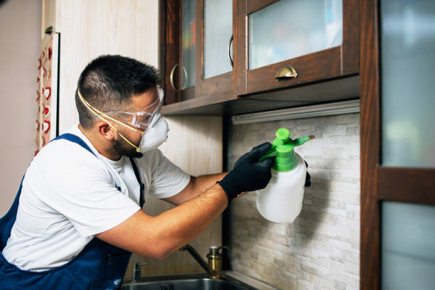 Best Rodent Control Near Me  in Sierra Vista, AZ