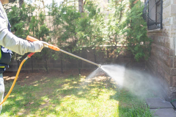 Best Pest Control for Homes  in Sierra Vista, AZ